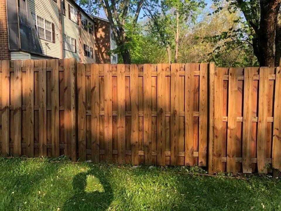 Sunny day wooden fence scene