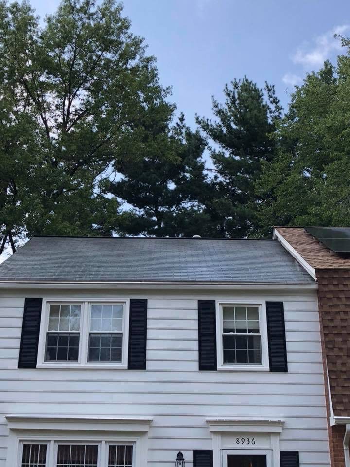 A white house with black shutters under tall trees.