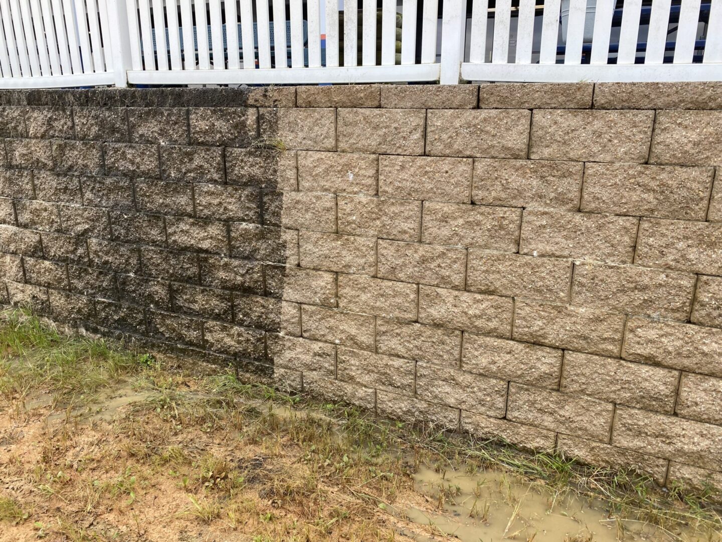 A stone wall with one half covered in black mold and the other half clean.